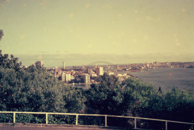 Image of the view from Street House in Sydney