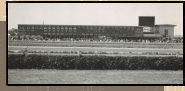 image of The Flat at Eagle Farm Racecourse