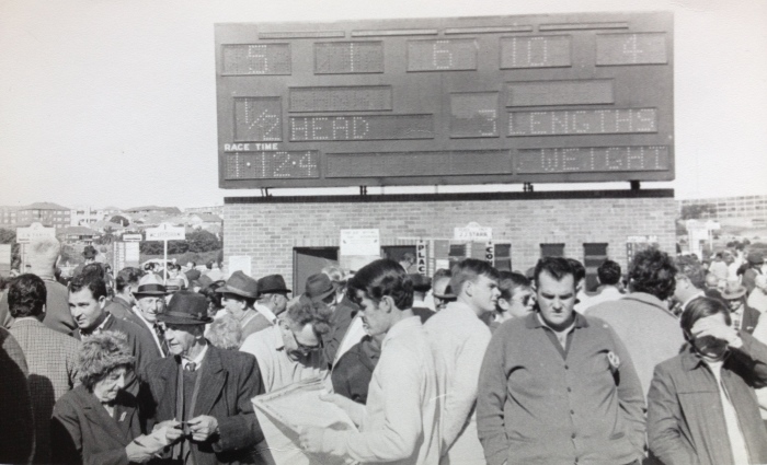 Image of the Randwick Dividends Indicator